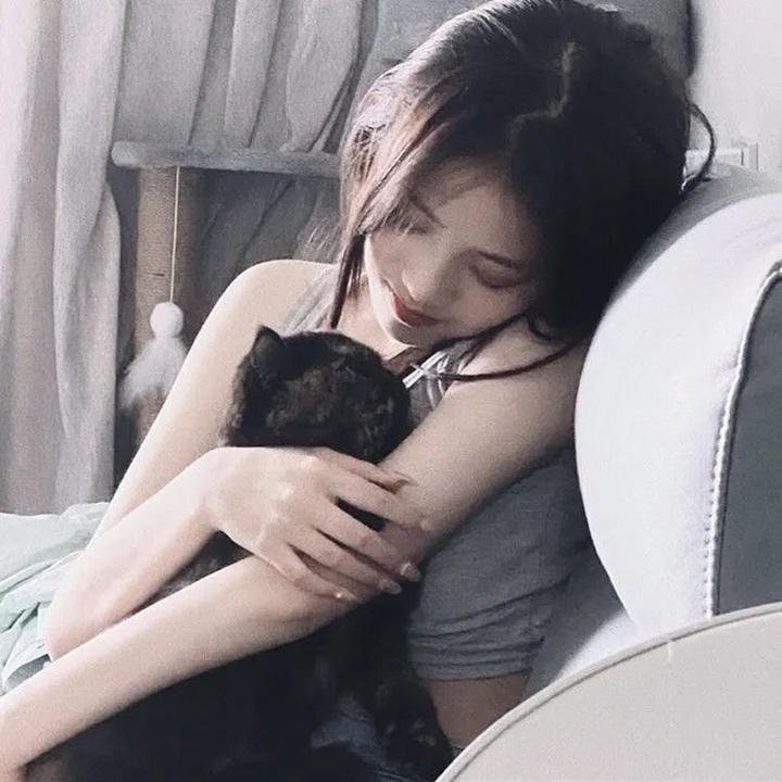 拯救林肯
